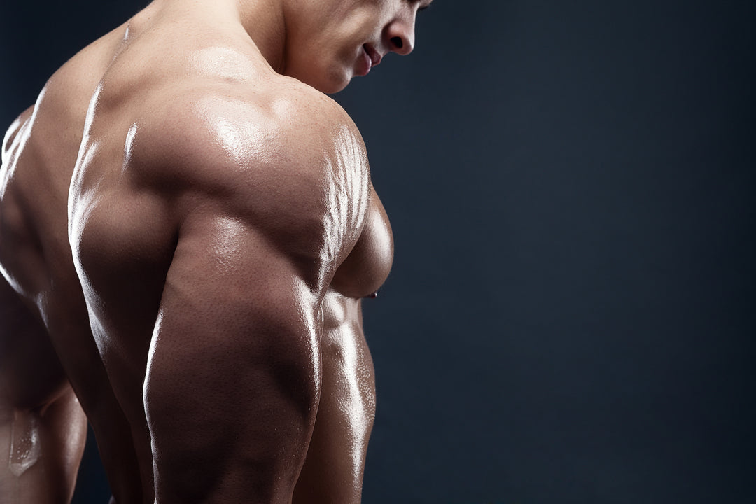  Athlete demonstrating a seated dumbbell shoulder press.