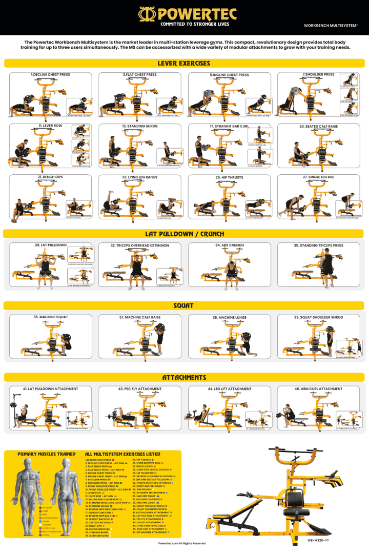 Printable Poster - Workbench Multisystem